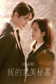 我的完美秘书: Season 1