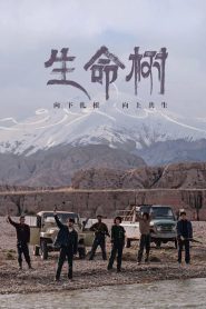 生命树: Season 1