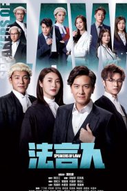 法言人